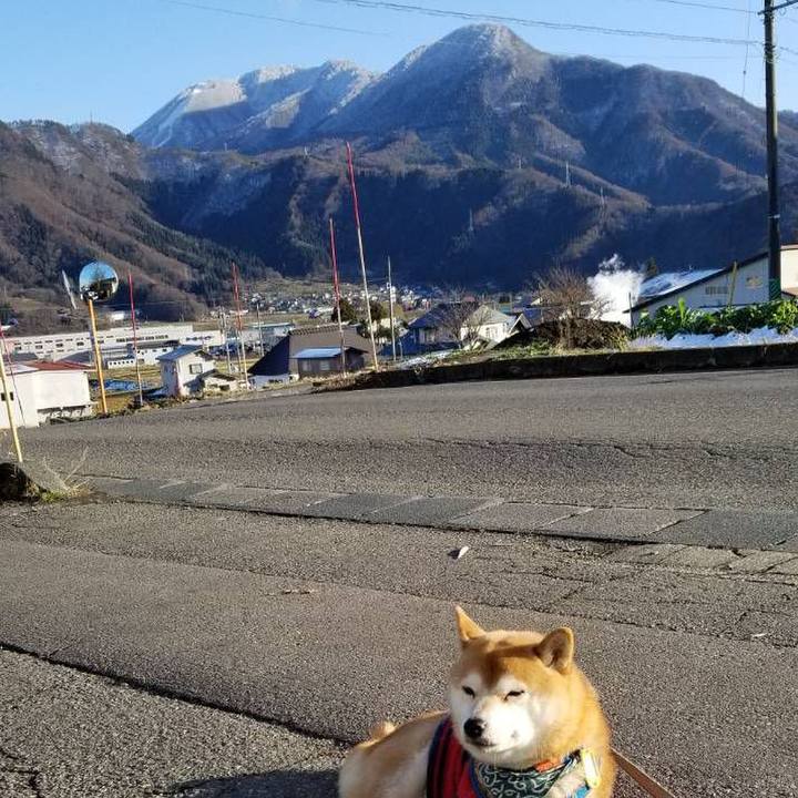 34f041d3 8a38 4e01 beb4 a00aca239367 1544422005626