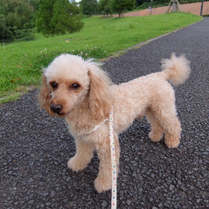 34f07d1a adbd 4e6b b358 e9392ab408bd 1531916924457