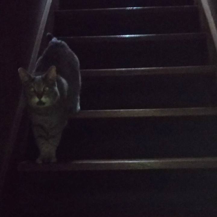 34f0887f 35a7 4ea5 af46 7f6779ced079 1620090529532