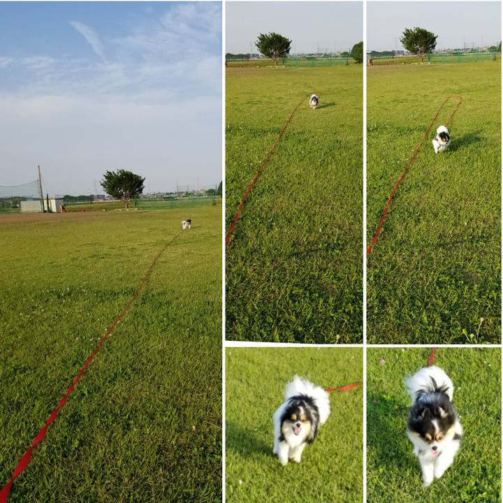 34f09b49 391a 4c3d ac09 b2e1d52fde87 1527427202608