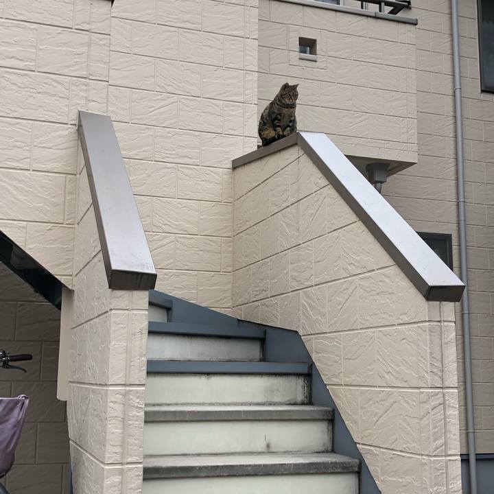 34f09fa0 6127 4e64 adc3 e0d8eb0907d7 1542788804485