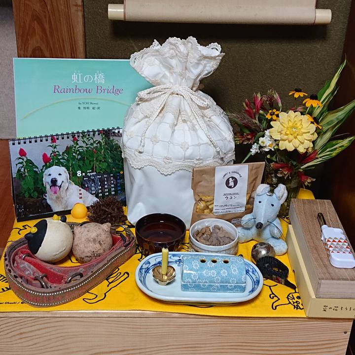 34f0c987 b31c 47ad bed7 e65c49a535c7 1596671460068