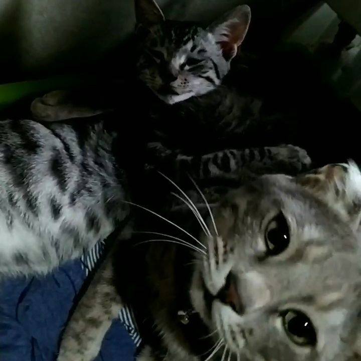 34f12294 3c05 4fd0 b33b bbd77dfbae02 1698590366643