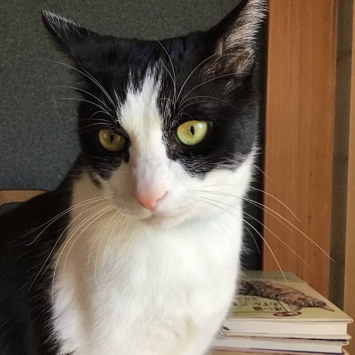 34f12442 c3ec 47c8 a9a4 493a8e48b2be 1736756131571