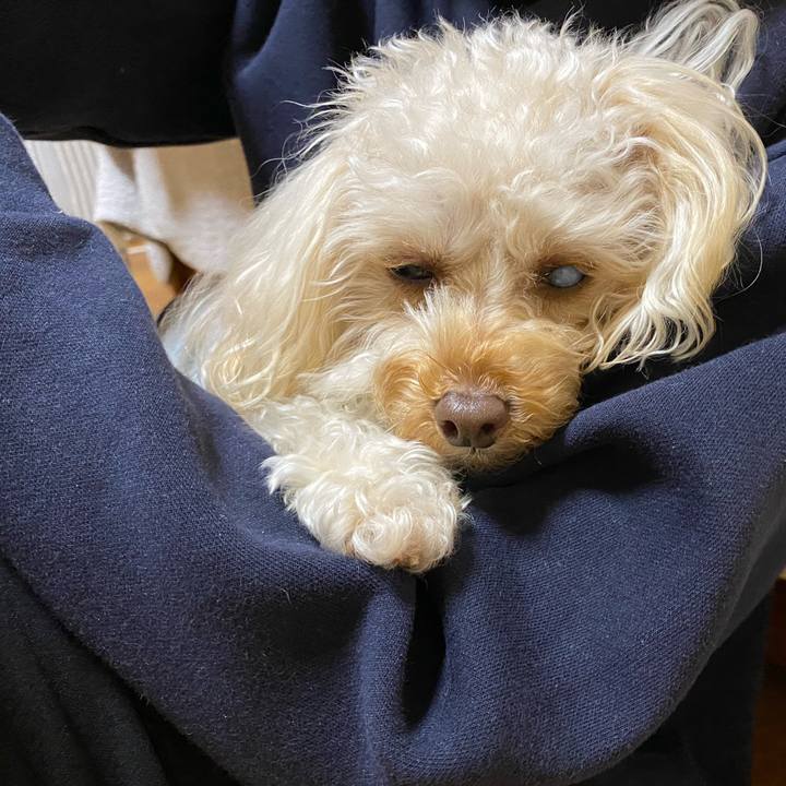 34f13f42 3e5a 46c8 b59d 8e3e4f981448 1611827970595