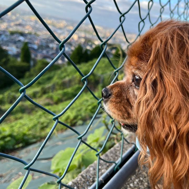 34f190a3 a37d 4cd3 9df9 d73a77e8f28f 1723850217161