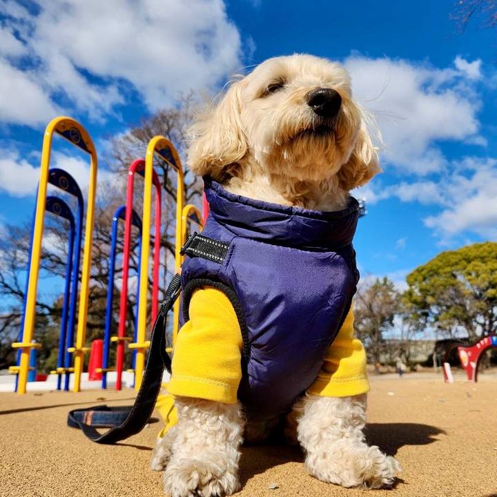 34f1a854 3bc5 41ab ae1b e4ed54ed5d03 1770291137812