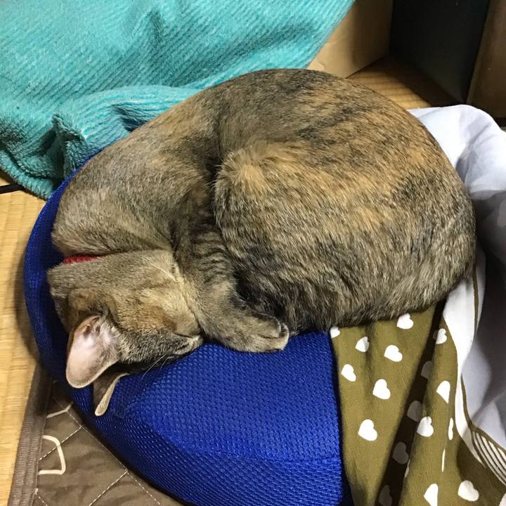 34f1b61f 8229 44d0 acd6 49dbb795f737 1585471338608