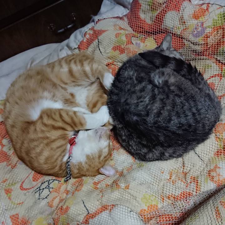 34f1b7e5 a987 4101 8004 530d3bd6e3ee 1572699965710