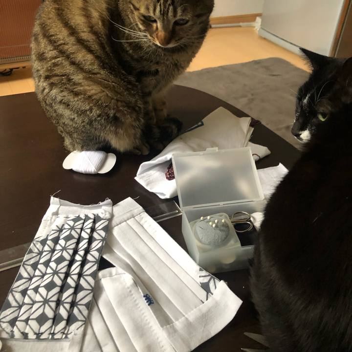 34f1b9bf 9b11 462a 8075 78d087b709d4 1587271981212