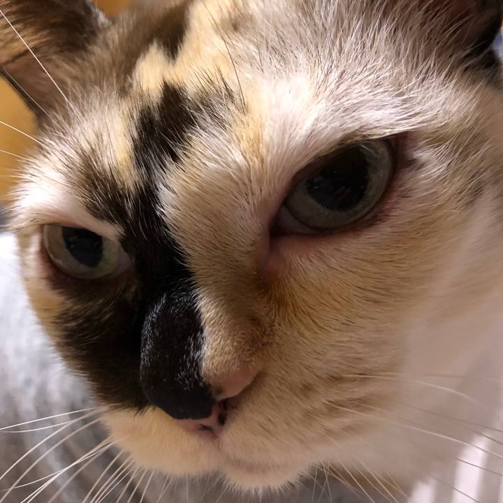 34f1efd6 84e1 4c5f 9c53 6096735d2d1d 1666018618141