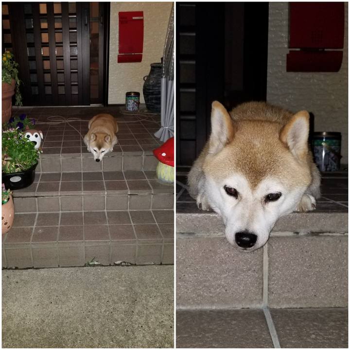 34f21c14 d074 4918 815e ac55dd70a563 1597054841336