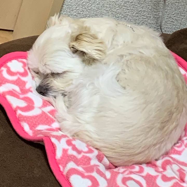 34f2482c cf51 44cc 8959 8fe94b19bb5d 1608204501662