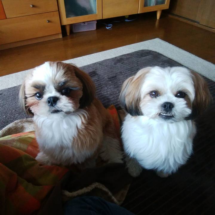 34f24eed 243f 48b6 b13f 0d824e80f4a6 1547598323317