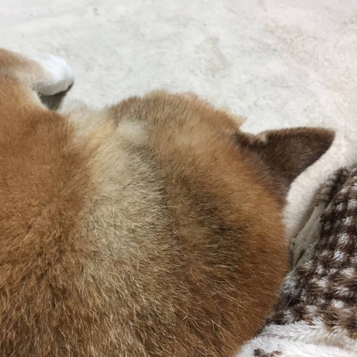 34f252d0 0c06 42c3 9bba ee49986637fb 1549451742922