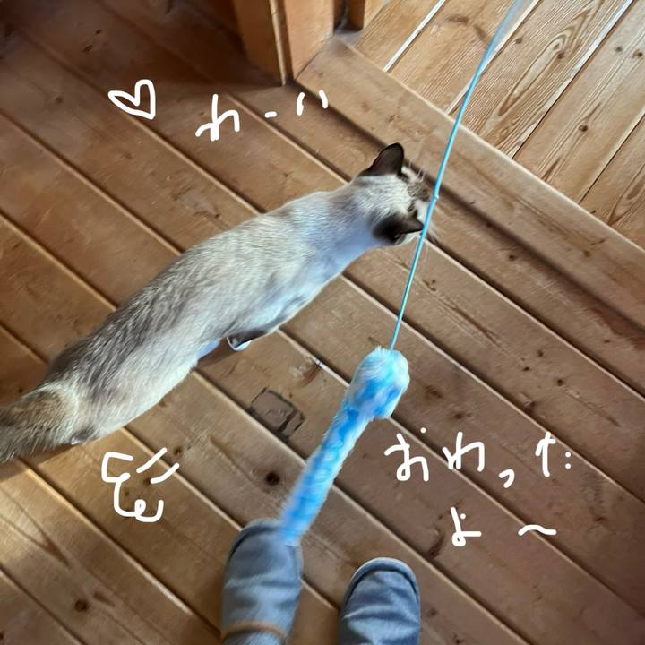 34f25574 0eb8 4f71 8a27 d7e976184ee2 1732143499454