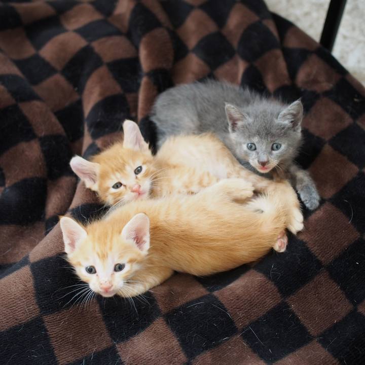 34f26ac5 0ecb 46d2 8a66 c2ea19ec7f4f 1569924452365