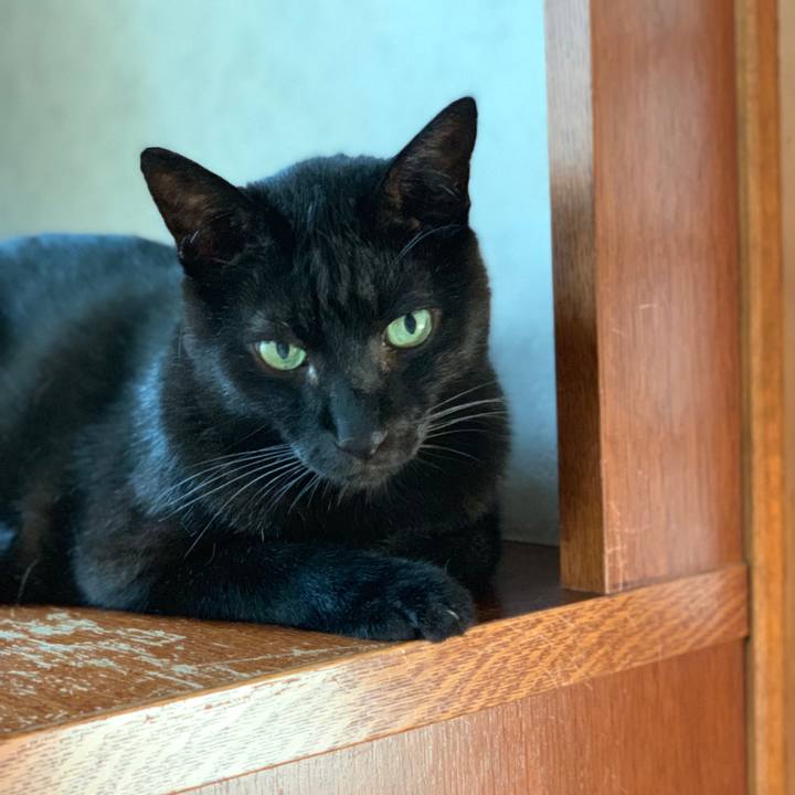 34f27f82 0126 4d10 b15e 47b5e29c831e 1564360079286