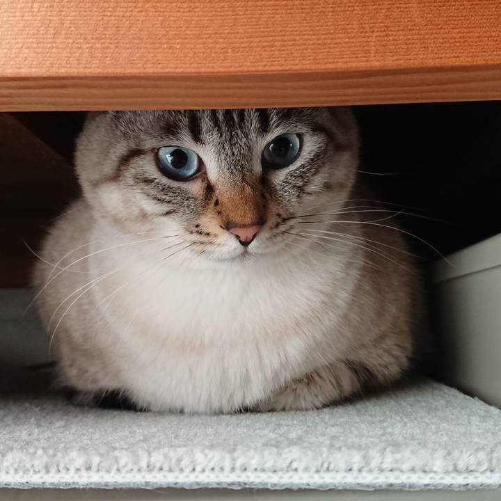 34f28662 8fa0 4c0c a87d 277542ccdc7c 1518737818791