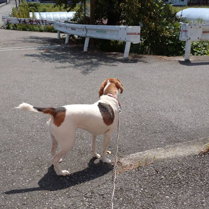 34f28882 2eee 4bc9 93f9 2602000ab455 1600489715490