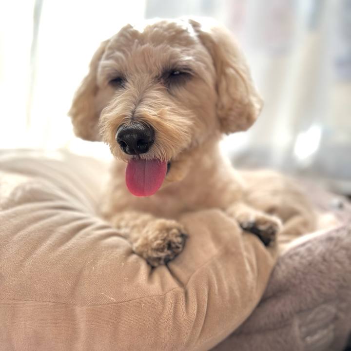 34f294a5 4a58 45a3 9fb6 aa31bc8c6c41 1764116133874