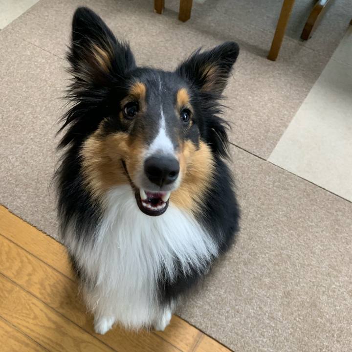 34f2a29c 0d5c 449f b430 cca9a98e8037 1552946611230