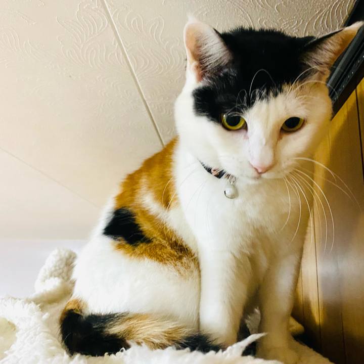 34f2ab34 05f1 4bb7 8e7b bc4fafc47077 1672350867678