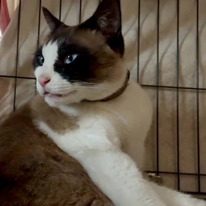 34f2ad61 0e1b 4191 9a94 9e1f90b67623 1746704556083