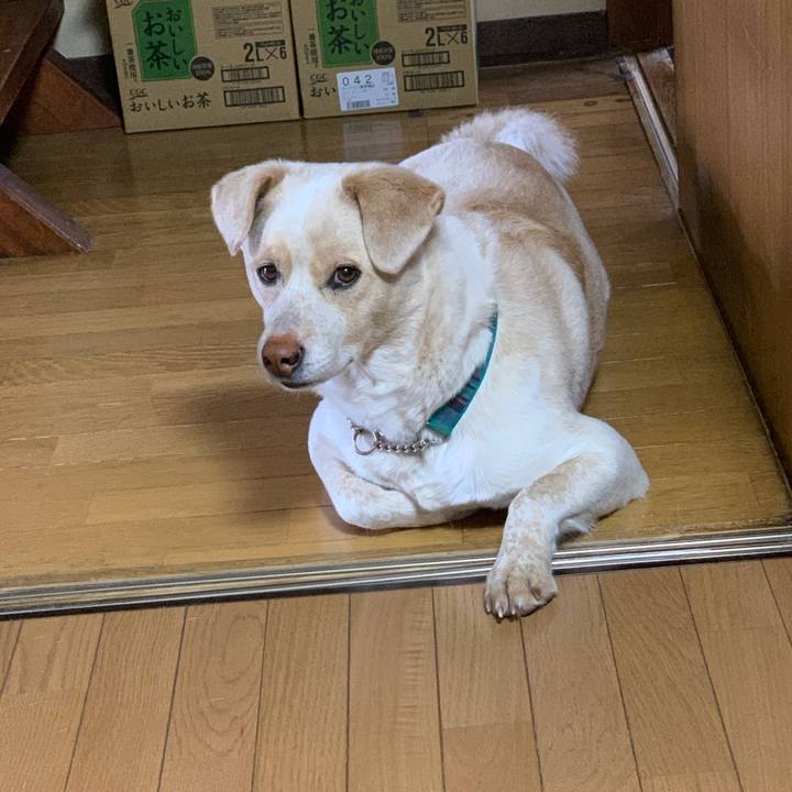 34f2e0de a43c 4d89 90a3 0c601409ba35 1556162994681