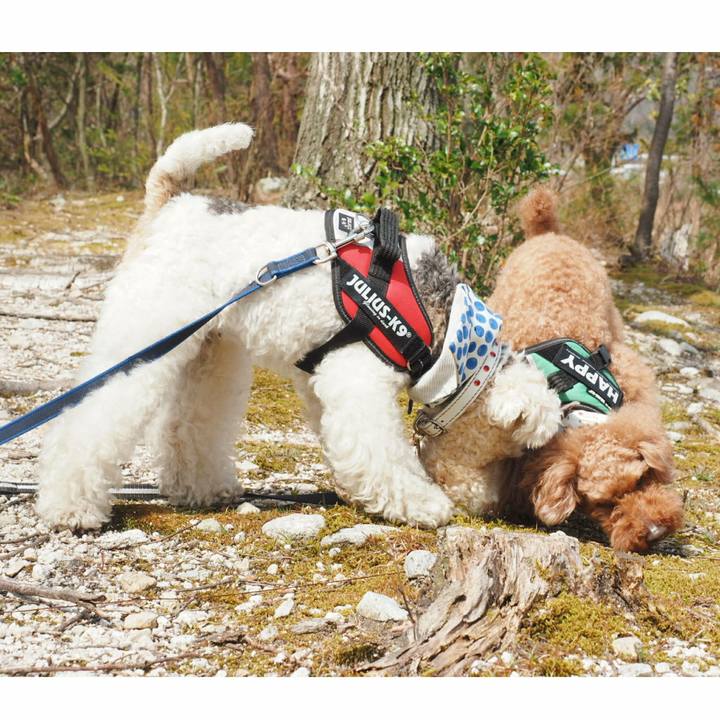 34f31693 e9cb 462a 9912 1f2be26bd849 1522734574741