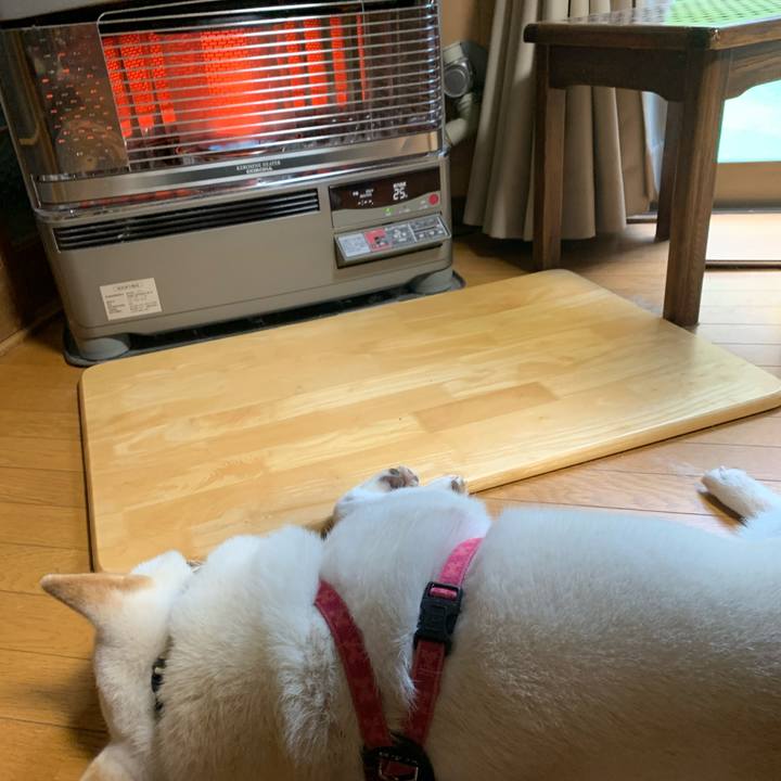 34f3185f cd84 43d9 8ee7 41cfd30d9e3f 1571989972628