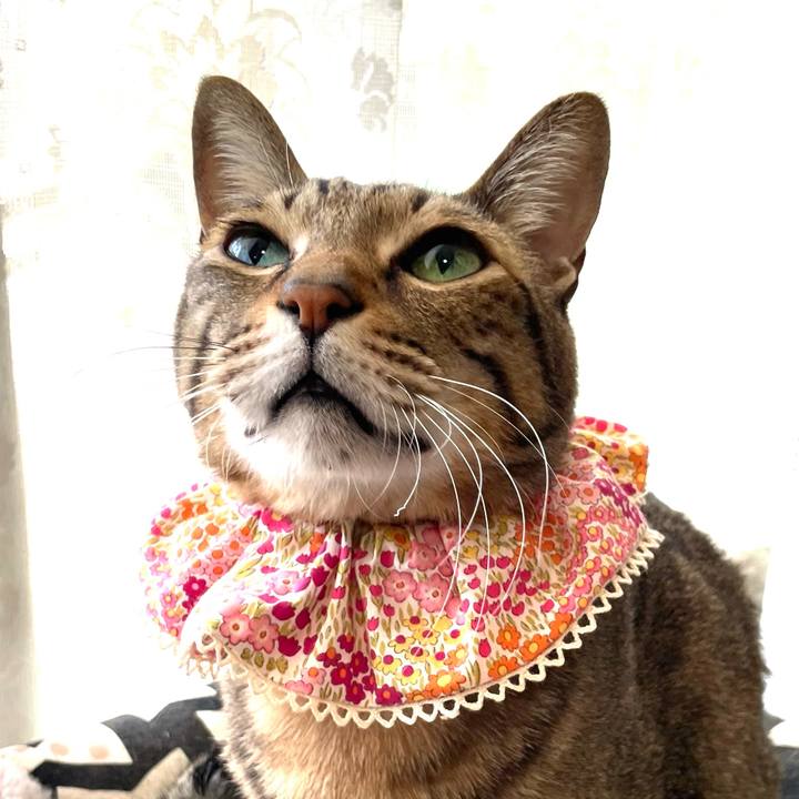 34f33660 9284 4888 9dcc 214a05e05a3a 1739602166000