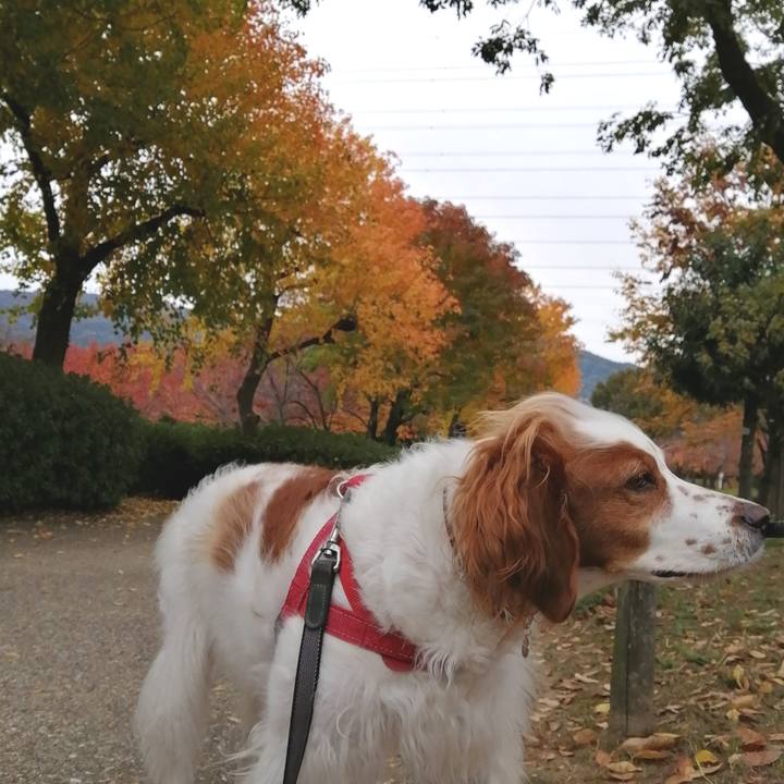 34f337e8 71c4 44e7 91f9 3090edb75235 1574423104467