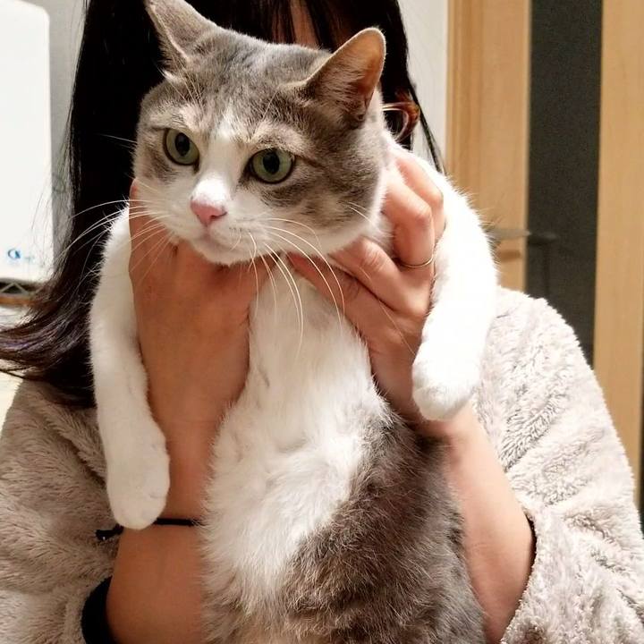 34f33f8d c872 4229 a962 796a3d58b0c8 1616336411209