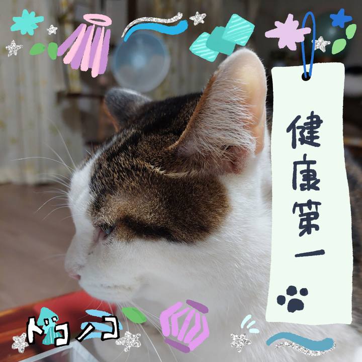 34f38c9b 20cb 4ba2 9ba9 e899db608d36 1720784041682