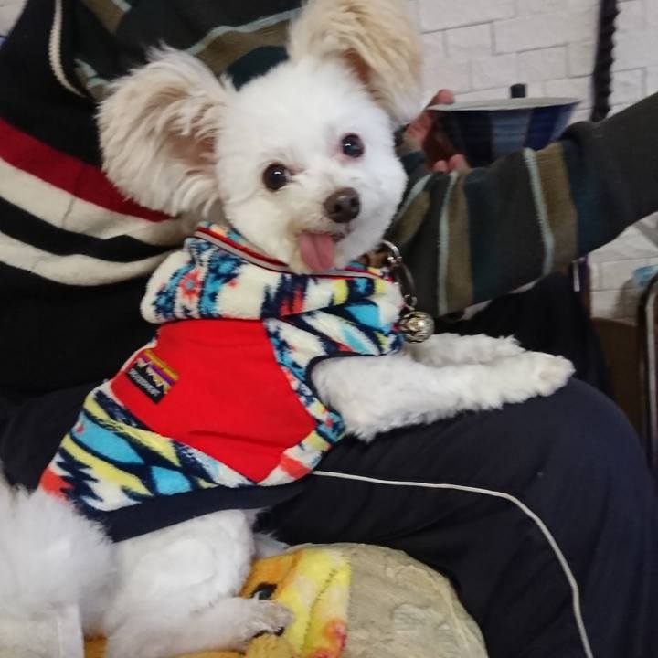 34f39638 9b6e 45ad a578 c701ace441a1 1577407245664