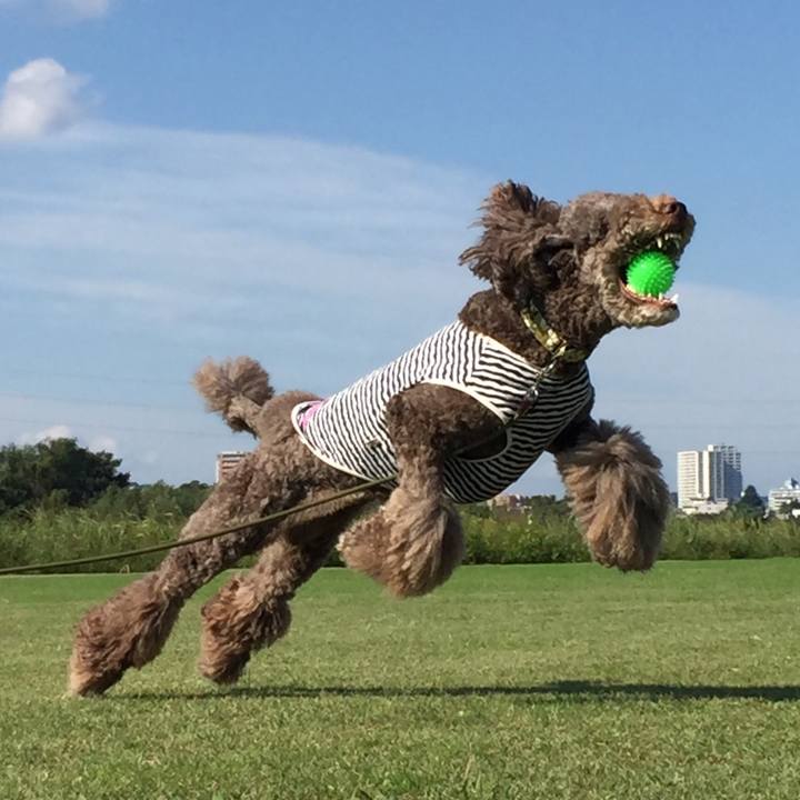 34f3c142 2f69 49e9 b1c0 b948d3d76159 1508309353096