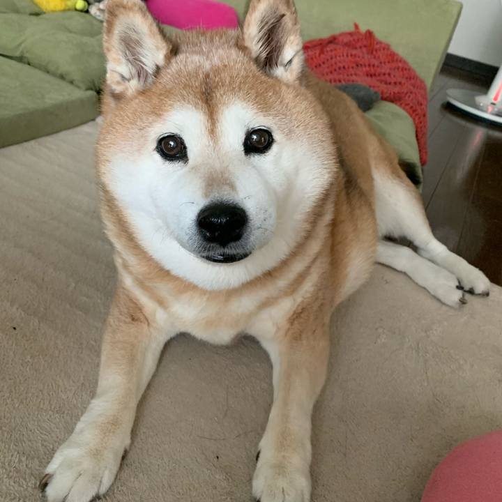 34f41df2 d62b 41e8 ba77 dfd25a38efac 1590903617535