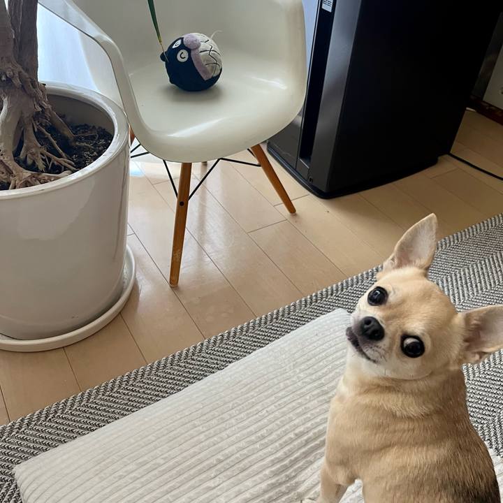 34f41fdd 3add 4d1d bf13 ffa04d2f0e3f 1685839283803