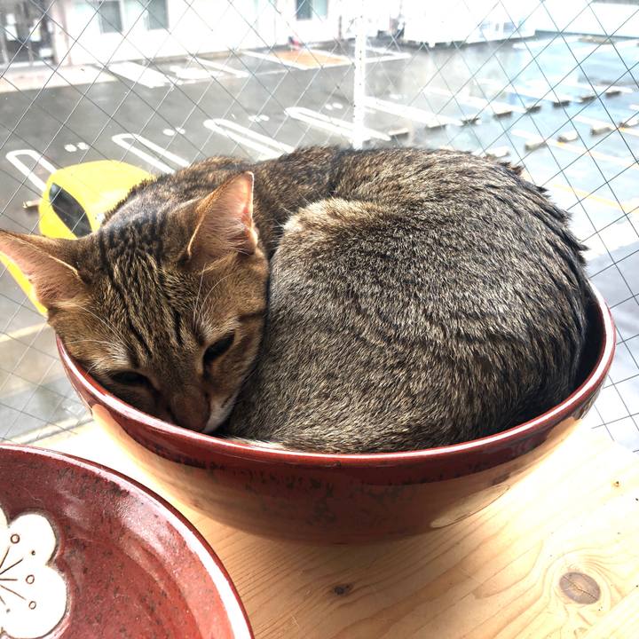 34f422bd b490 4873 b3d0 038ae9983fe1 1628753021484