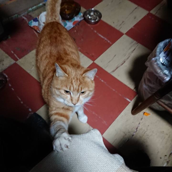 34f42743 a4bc 4362 8b00 c712a029d5a8 1577476368871