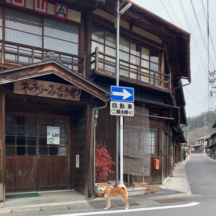 34f4389c 1231 41c0 a8bc 61e62defa432 1580720936053