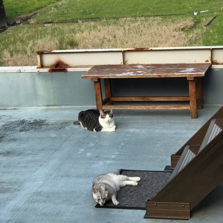 34f4465d 15e2 4e8b 8dae ad7f6734c8cf 1560423779675