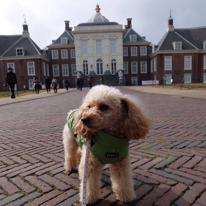 34f45516 1746 4f97 ad8b 8d6e933c978c 1579509983955