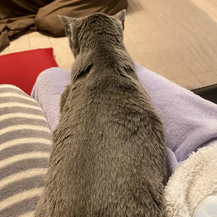 34f46f11 43cc 47c1 ae84 2b9d5c773b99 1581638136465