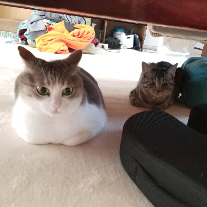 34f48d77 d03d 47ed bb90 a628a21888fb 1671077440992