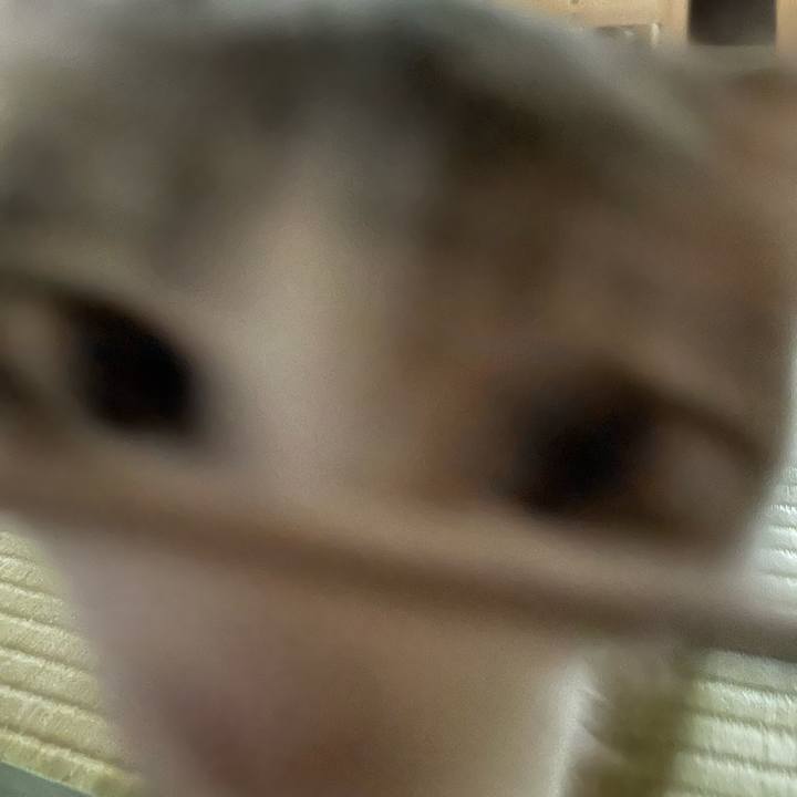 34f4df1c c1b1 4b97 856c 03877466db5c 1689288241518