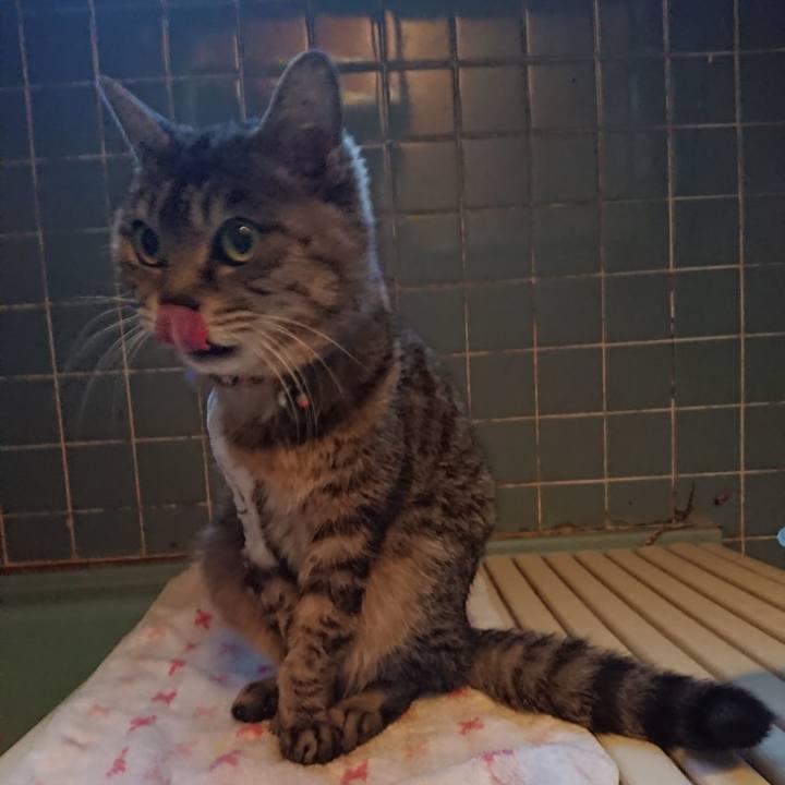 34f51d2c bb25 4614 9889 90aab0f57399 1588325478159