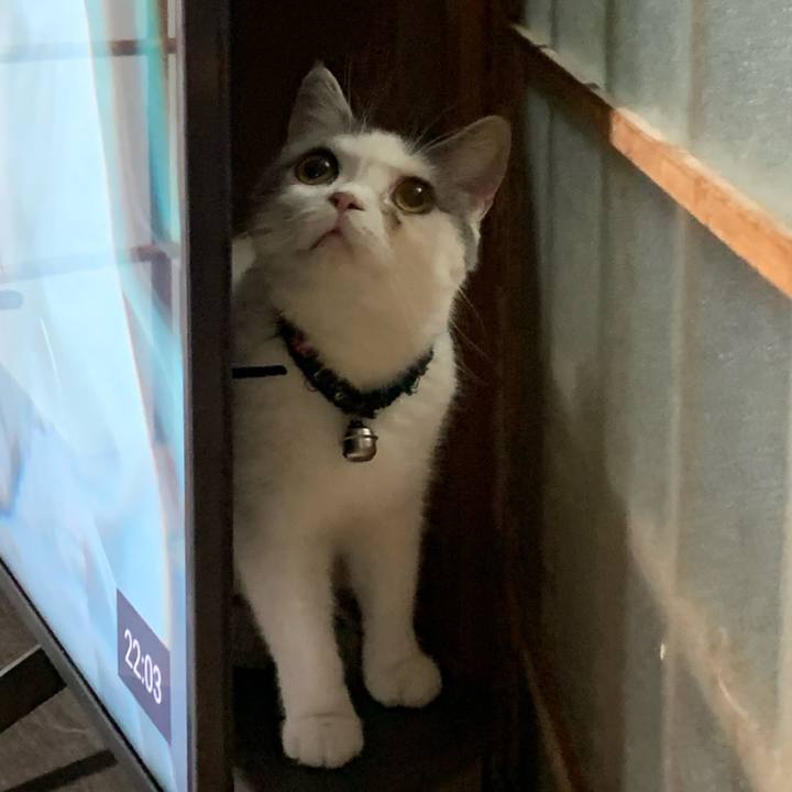 34f58539 8121 4a6e 97fd 13b7b87935bb 1598793846403