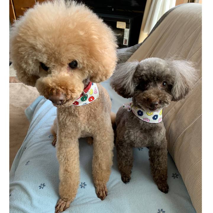 34f59650 fa3f 44f4 b802 fc5ab9113a2d 1588224889573